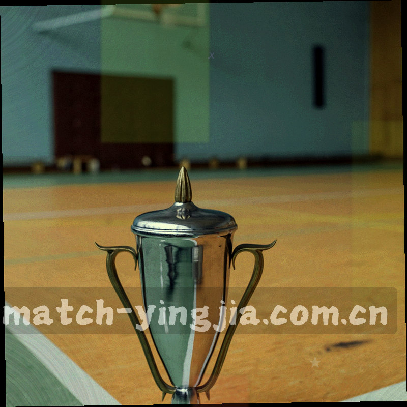 收藏赛事后点击进入详情页的示意界面